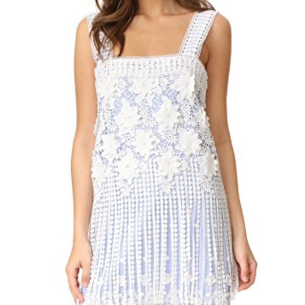 Alexis Fulton Dress